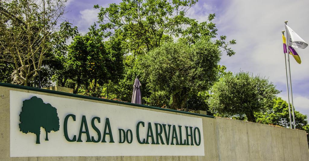Casa Do Carvalho - Ponte De Lima Apartment Bagian luar foto